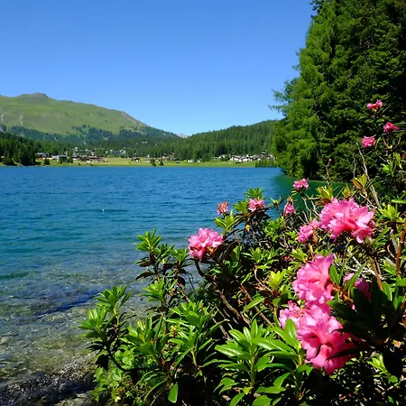 אתר נופש Alpengold