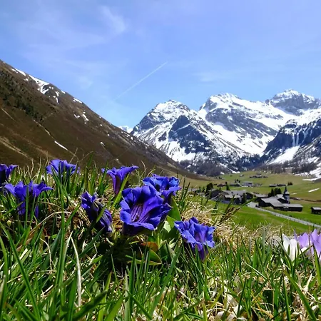 リゾート Alpengold