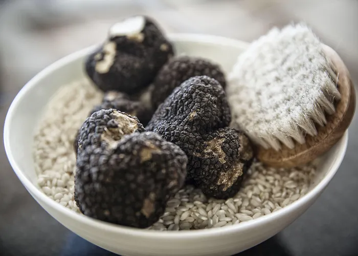 Alpengold Semesteranläggning (resort) 5*