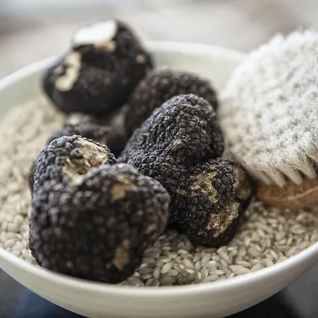 Alpengold 리조트 5*